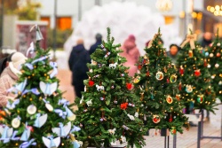 Atpūtas un ceļojumu piedāvājumi 08.01.2026 - 12.01.2026 “Eglīšu promenāde” Jomas ielā Jūrmalas TIC